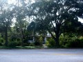 438-E-Davis-Front-side-Davis-Islands-Lot-for-Sale1