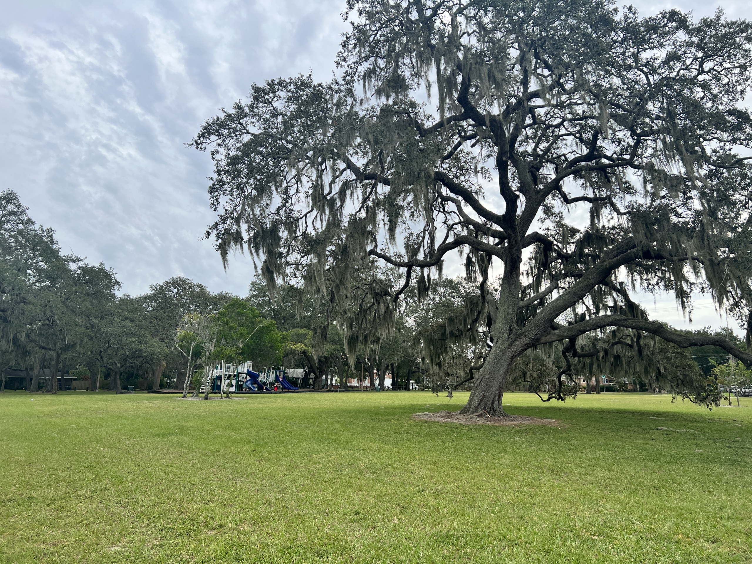 Open Spaces at Rivercrest Park on the Hillsborough River in Tampa Florida